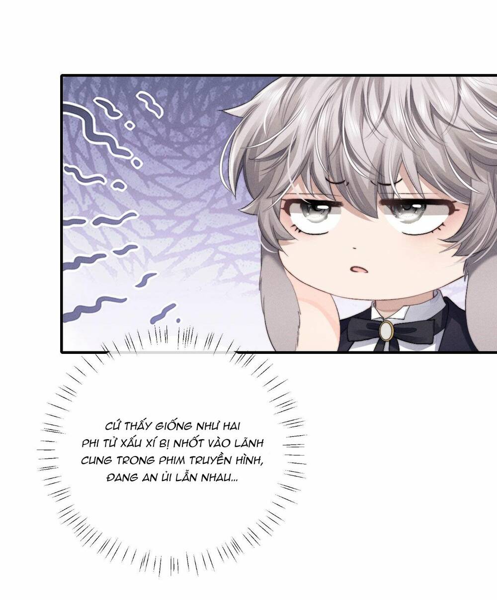 Chấp Sự Thỏ Cụp Tai - Chapter 8 - Page 19