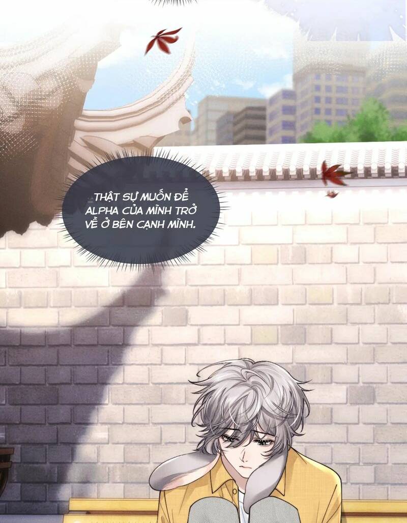 Chấp Sự Thỏ Cụp Tai - Chapter 85 - Page 37