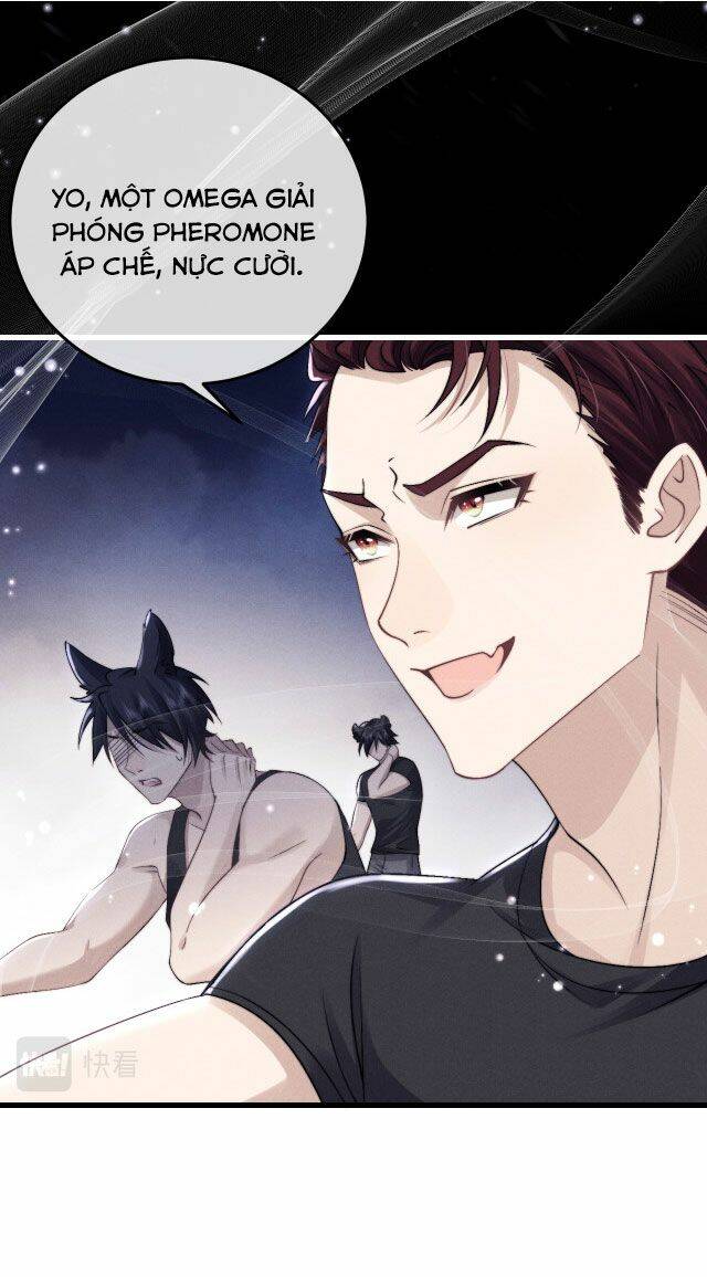 Chấp Sự Thỏ Cụp Tai - Chapter 9 - Page 43