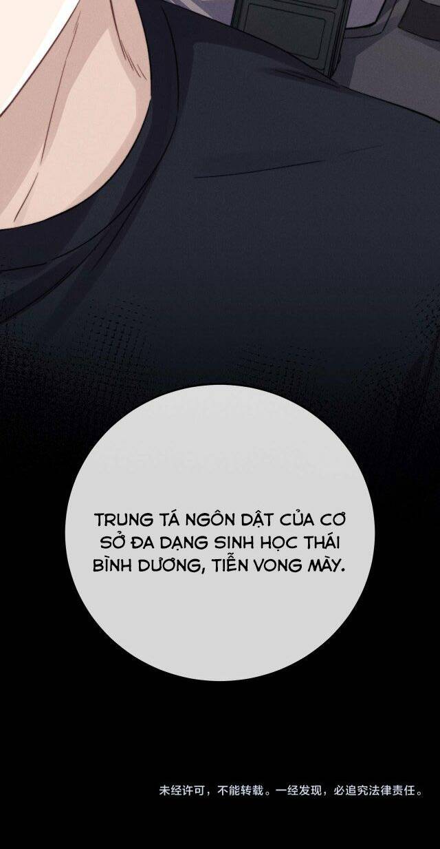 Chấp Sự Thỏ Cụp Tai - Chapter 9 - Page 49