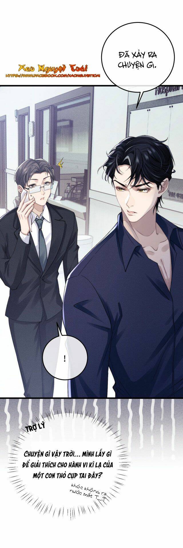 Chấp Sự Thỏ Cụp Tai - Chapter 9 - Page 5