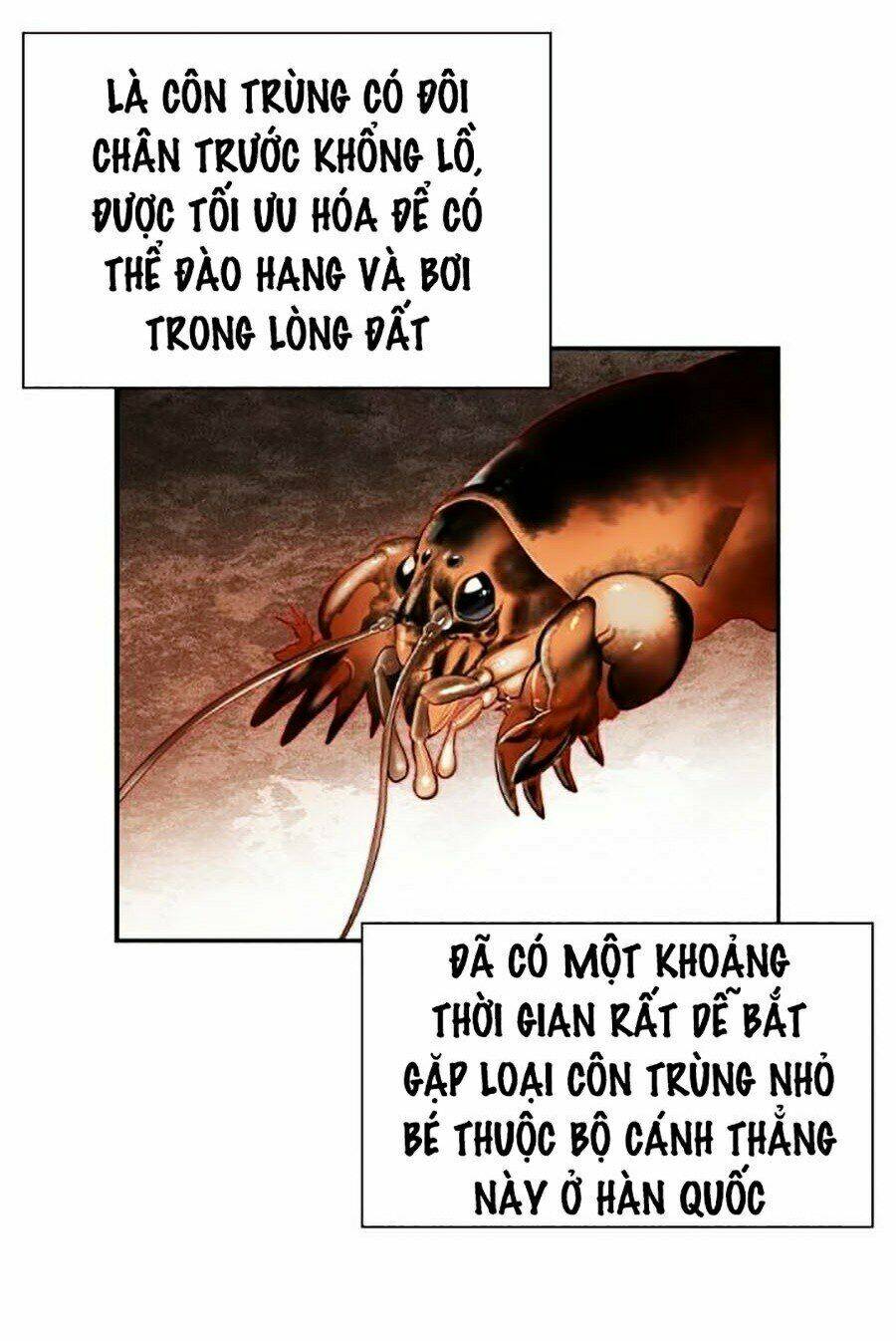 Nhân Trùng Đại Chiến - Chapter 33 - Page 77