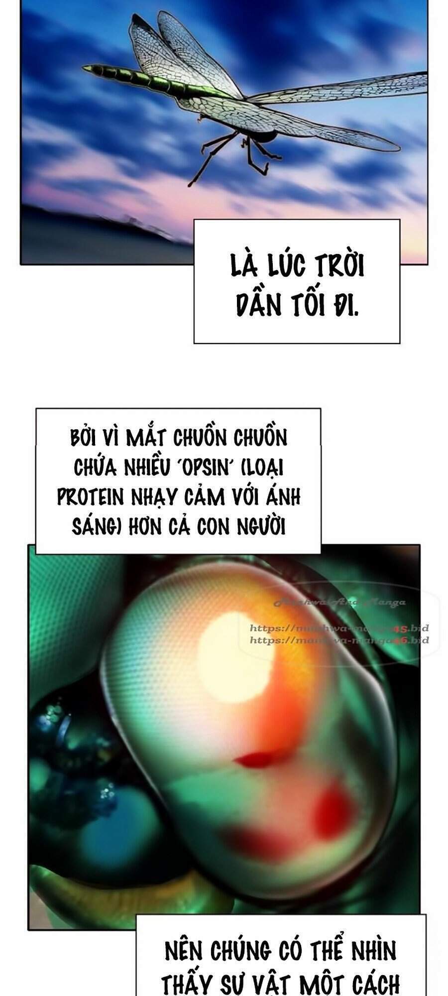 Nhân Trùng Đại Chiến - Chapter 34 - Page 108