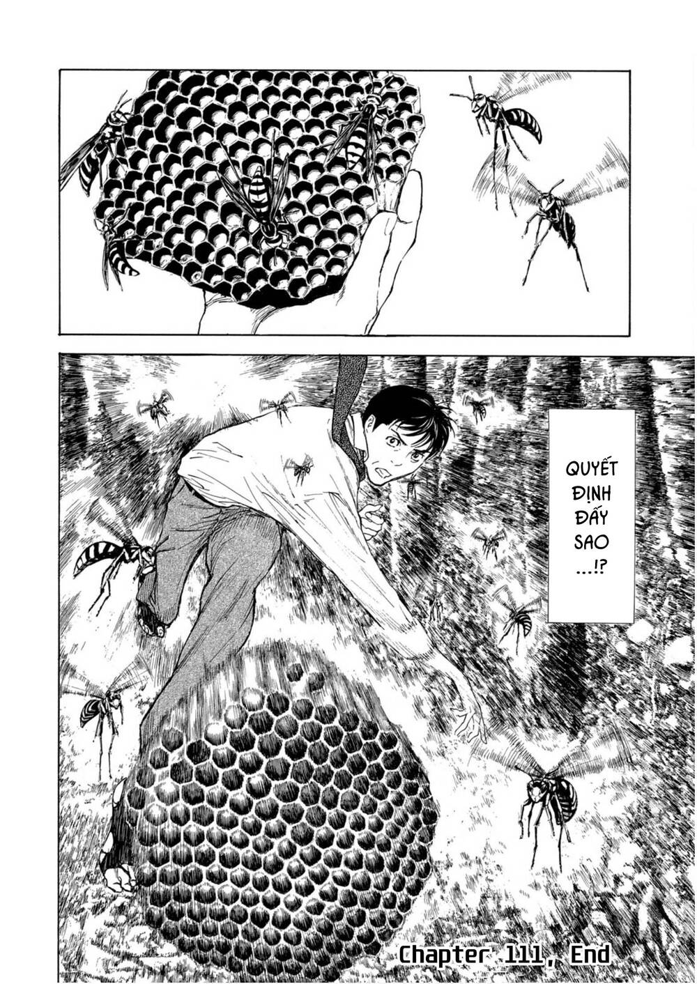 My Home Hero - Chapter 111 - Page 20