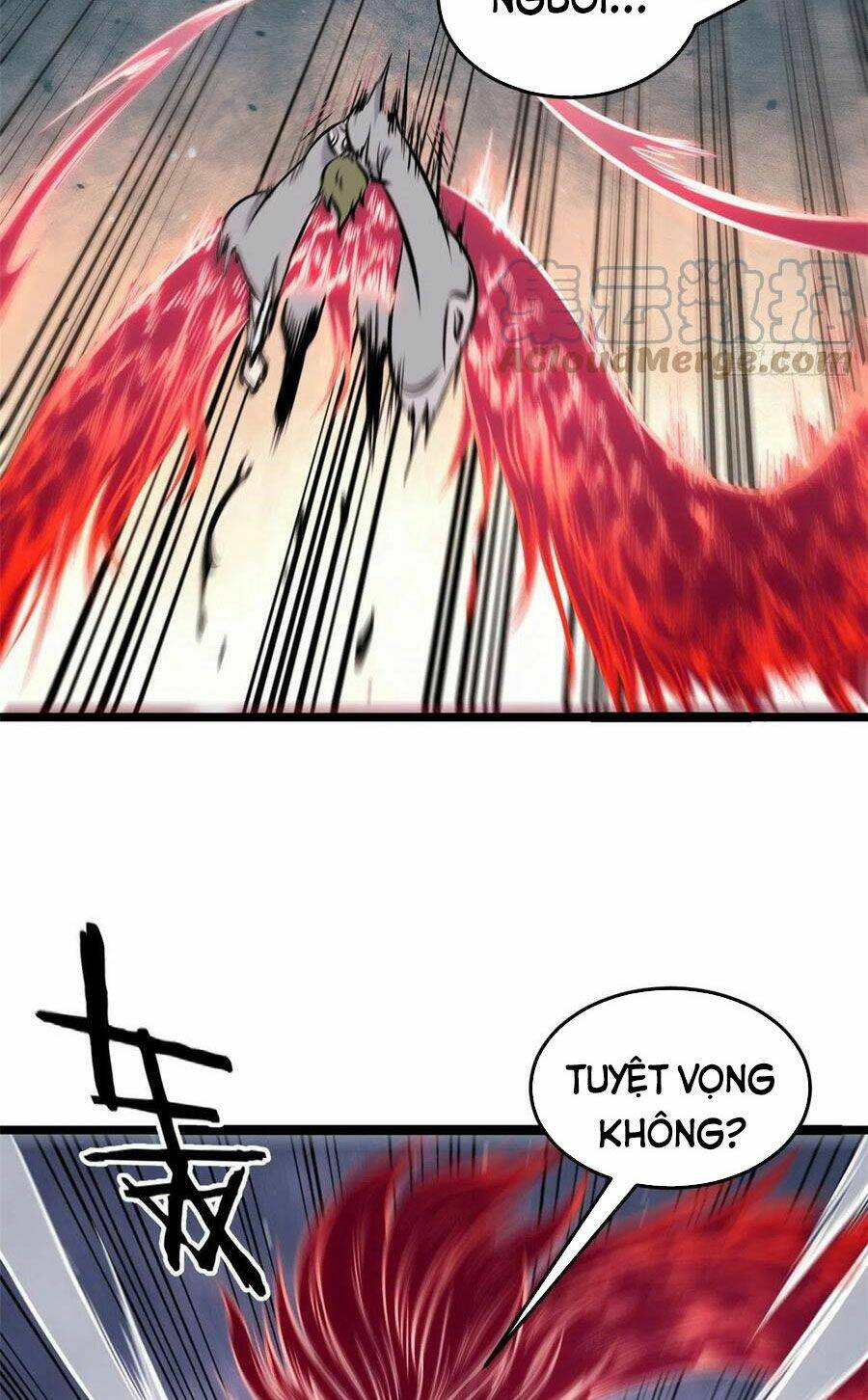 Vạn Cổ Tối Cường Tông - Chapter 91 - Page 51