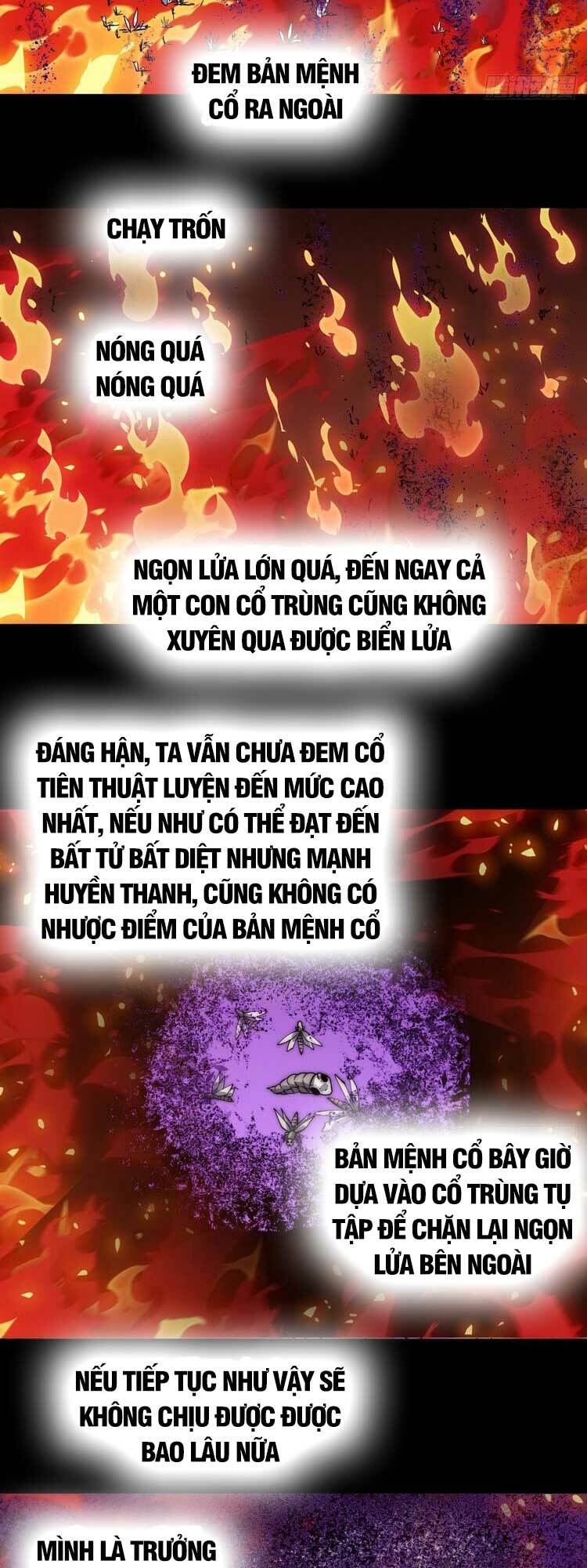 Ta Có Một Sơn Trại Chapter 521 - Trang 19