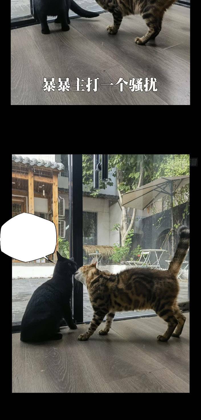 Đại Tượng Vô Hình - Chapter 352 - Page 29