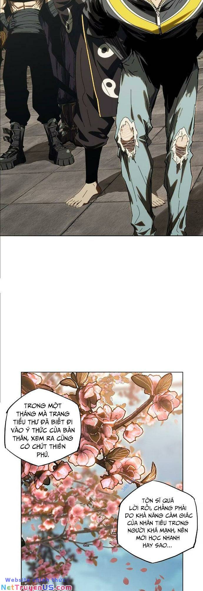 Đại Tượng Vô Hình - Chapter 372 - Page 5