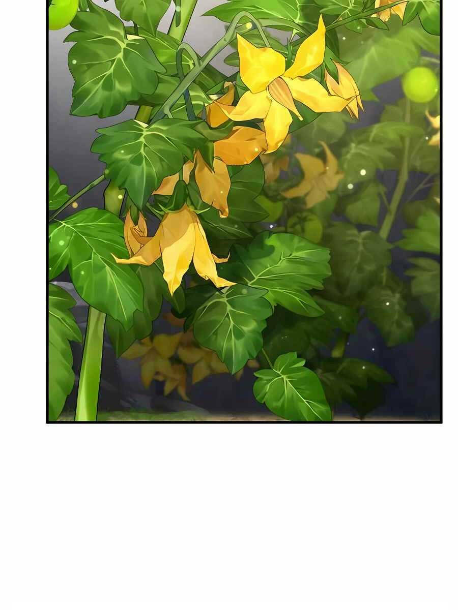 Làm Nông Dân Trong Tòa Tháp Thử Thách - Chapter 14 - Page 137