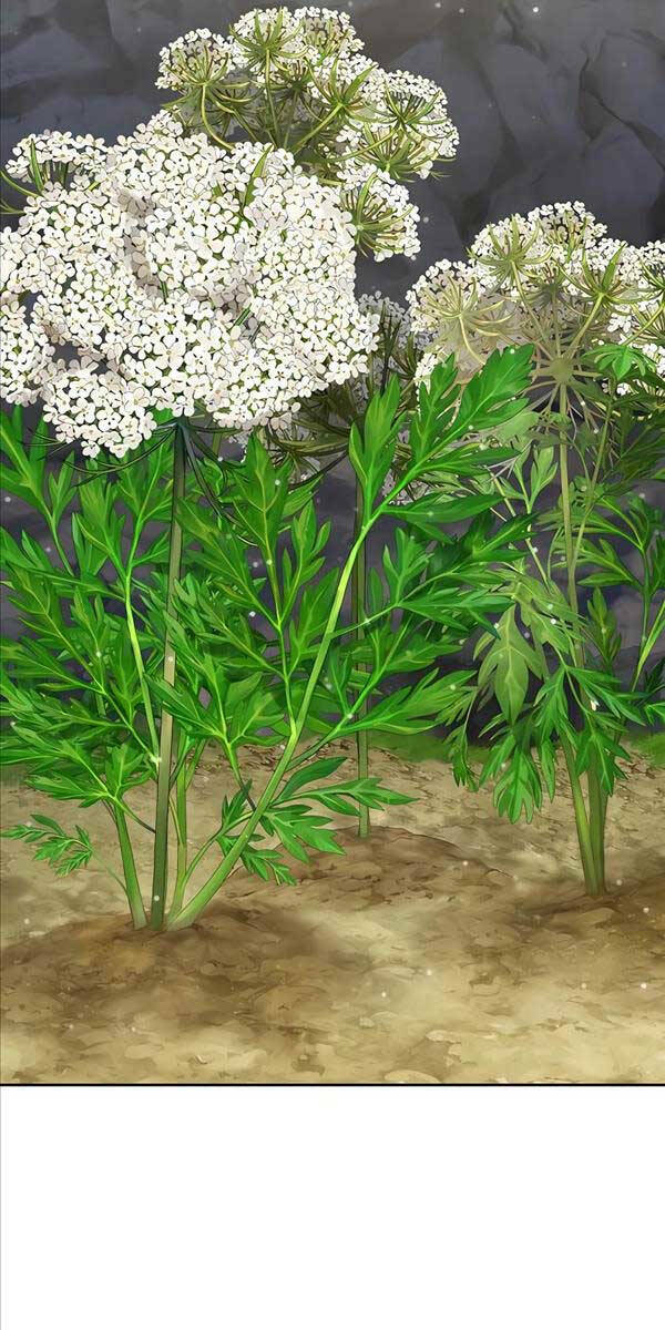 Làm Nông Dân Trong Tòa Tháp Thử Thách - Chapter 22 - Page 7