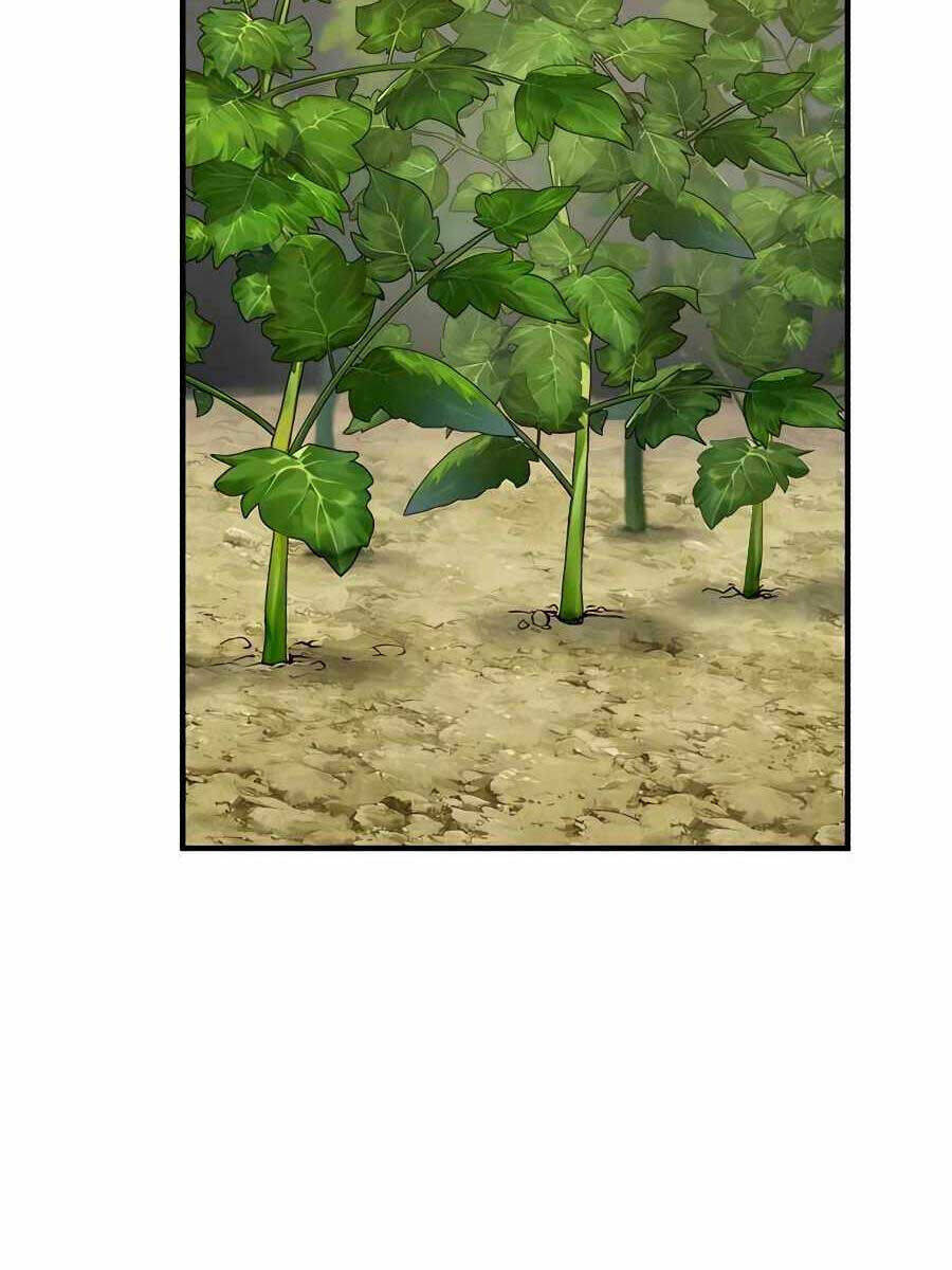 Làm Nông Dân Trong Tòa Tháp Thử Thách - Chapter 4 - Page 13