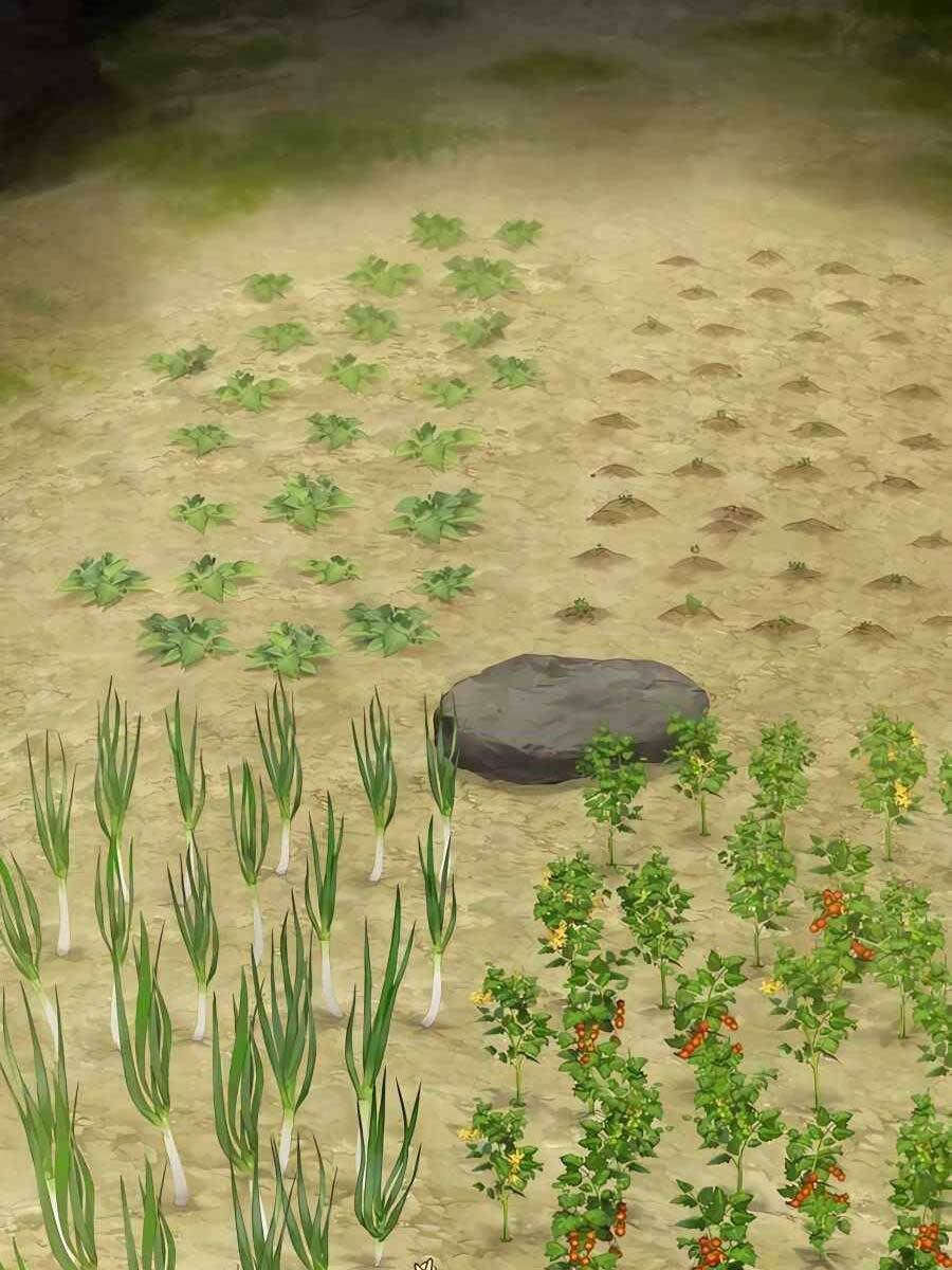 Làm Nông Dân Trong Tòa Tháp Thử Thách - Chapter 9 - Page 92