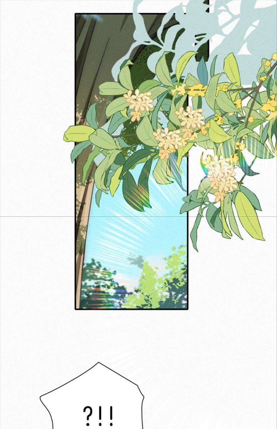 Bá Vương Sủng Ái Cô Vợ Mù - Chapter 46 - Page 11