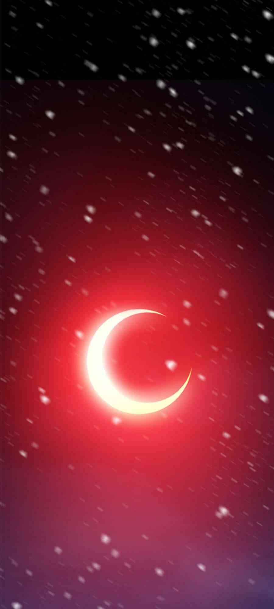 Chưởng Môn Khiêm Tốn Chút - Chapter 238 - Page 41