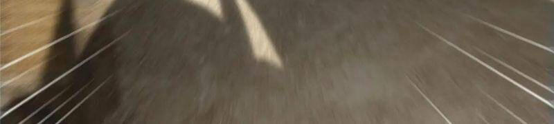 Chưởng Môn Khiêm Tốn Chút - Chapter 63 - Page 15