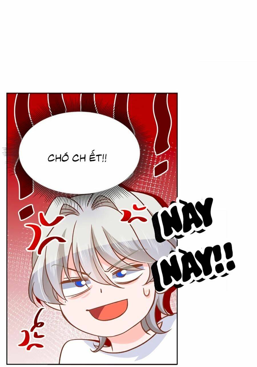 Hotboy Quốc Dân Là Nữ - Chapter 141 - Page 17