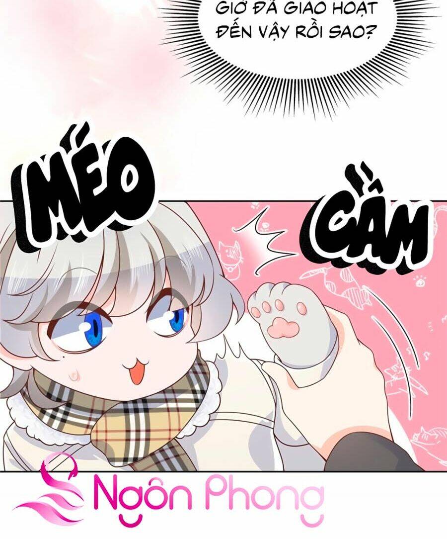 Hotboy Quốc Dân Là Nữ - Chapter 143 - Page 33