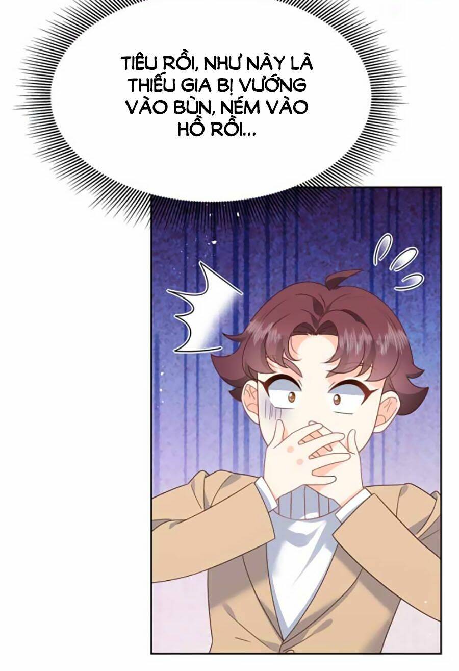 Hotboy Quốc Dân Là Nữ - Chapter 203 - Page 17