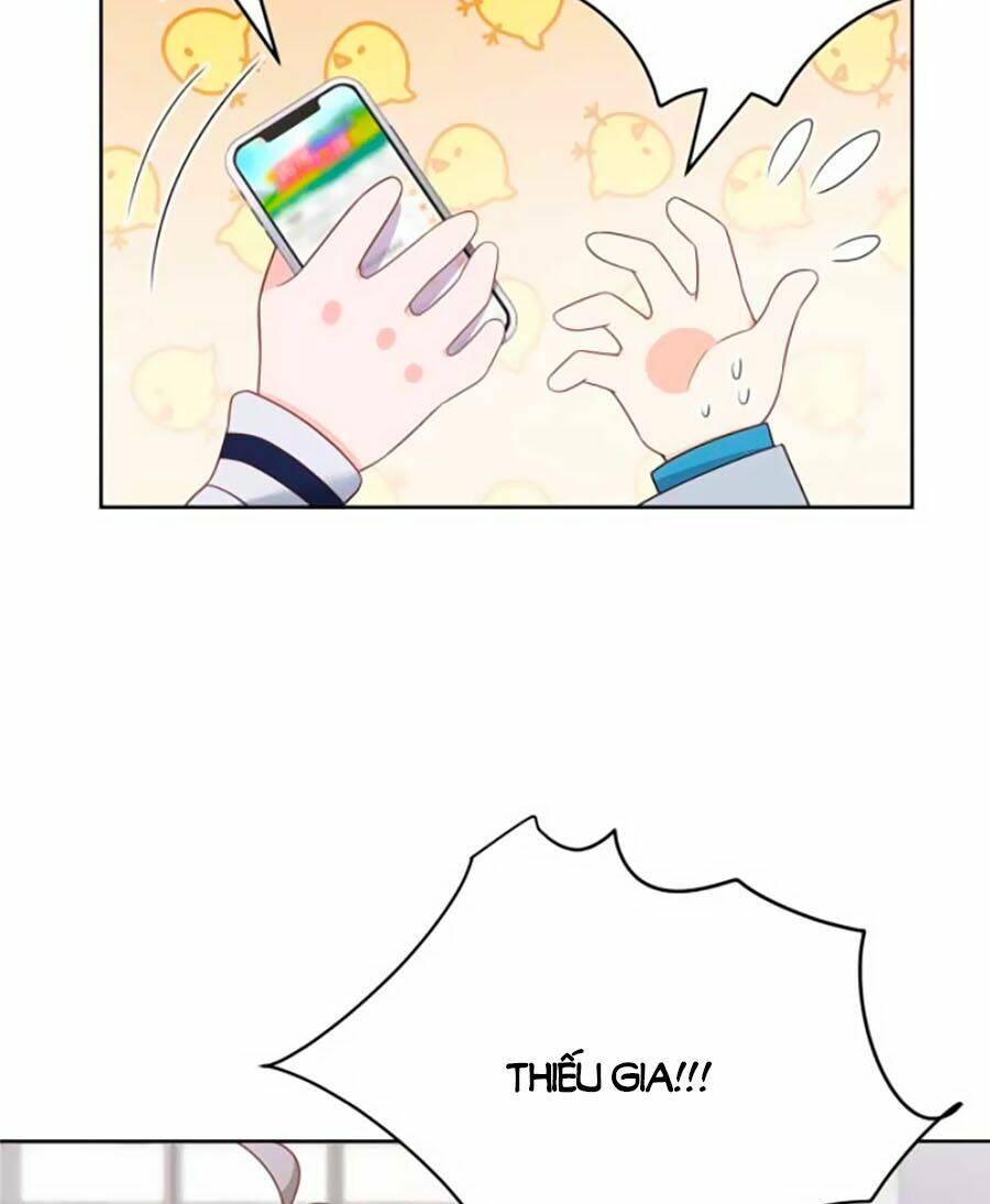 Hotboy Quốc Dân Là Nữ - Chapter 206 - Page 19