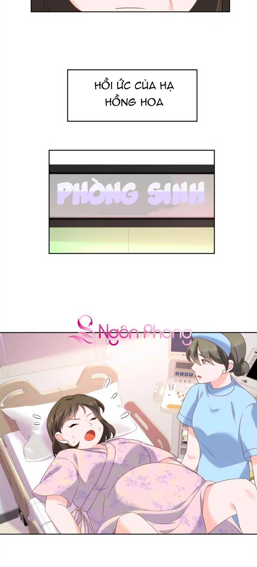 Hotboy Quốc Dân Là Nữ - Chapter 217 - Page 6