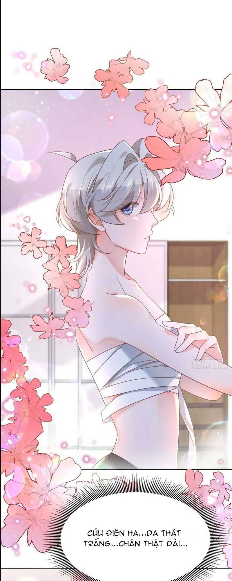 Hotboy Quốc Dân Là Nữ - Chapter 253 - Page 4