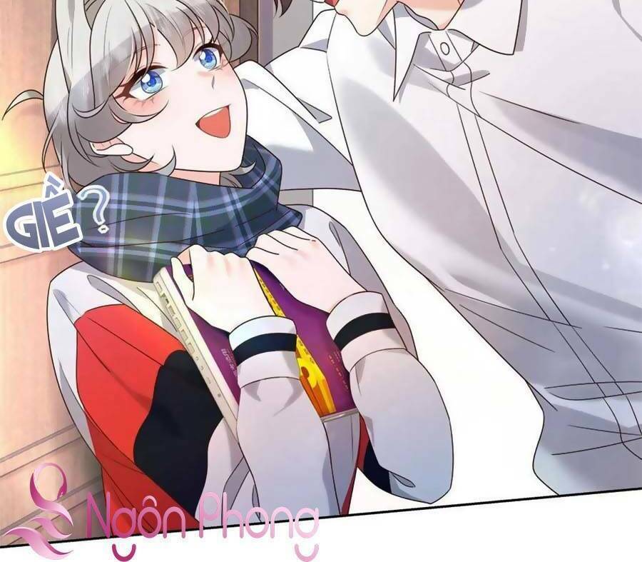 Hotboy Quốc Dân Là Nữ - Chapter 269 - Page 53