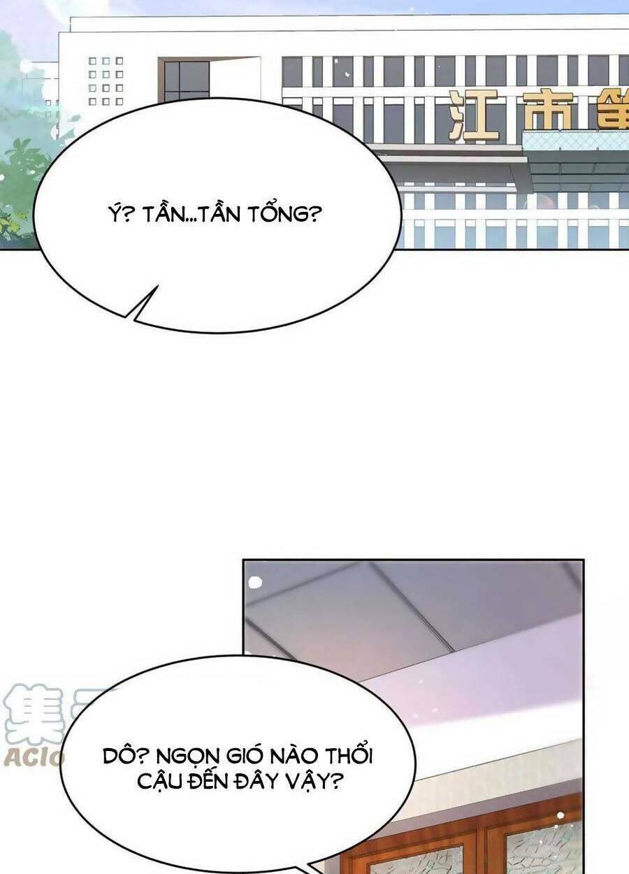 Hotboy Quốc Dân Là Nữ - Chapter 278 - Page 14