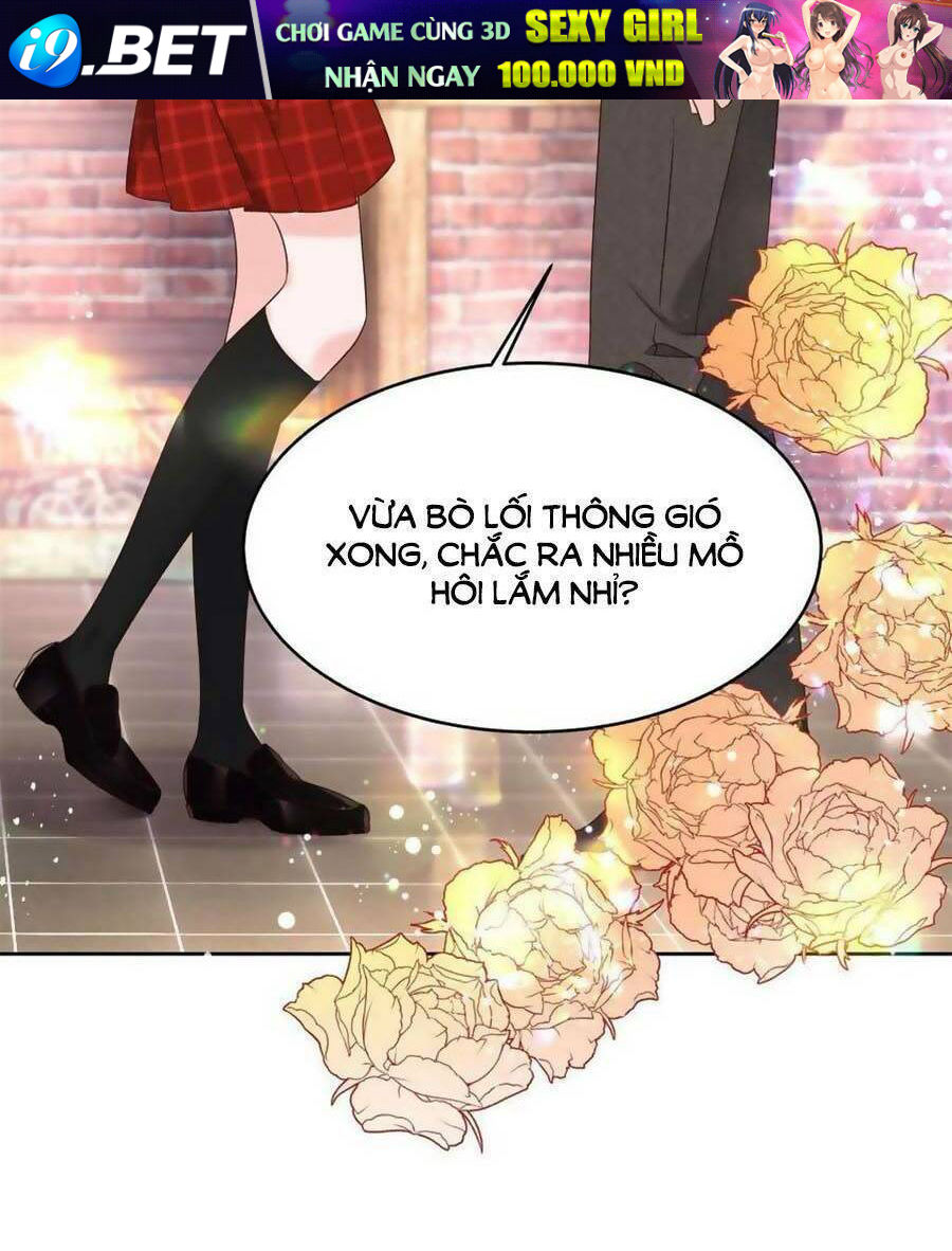 Hotboy Quốc Dân Là Nữ - Chapter 282 - Page 19