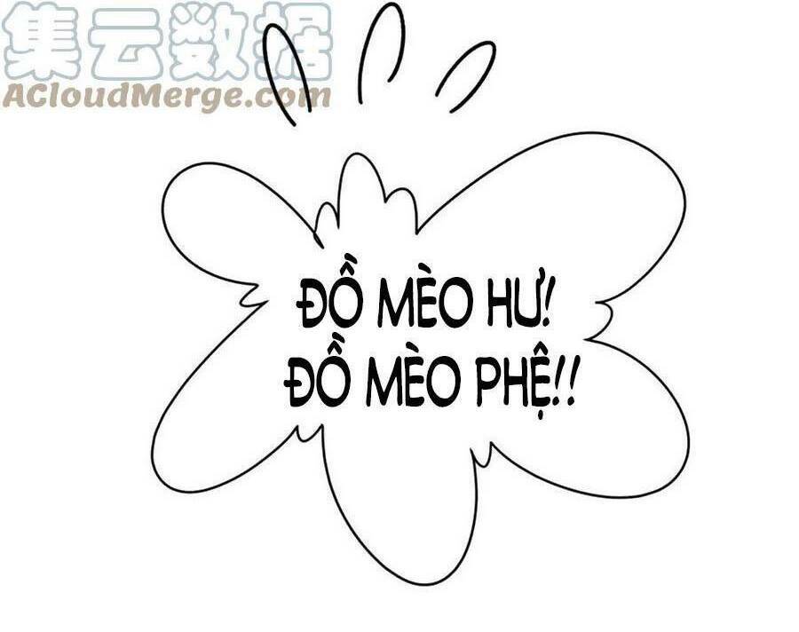 Hotboy Quốc Dân Là Nữ - Chapter 298 - Page 46