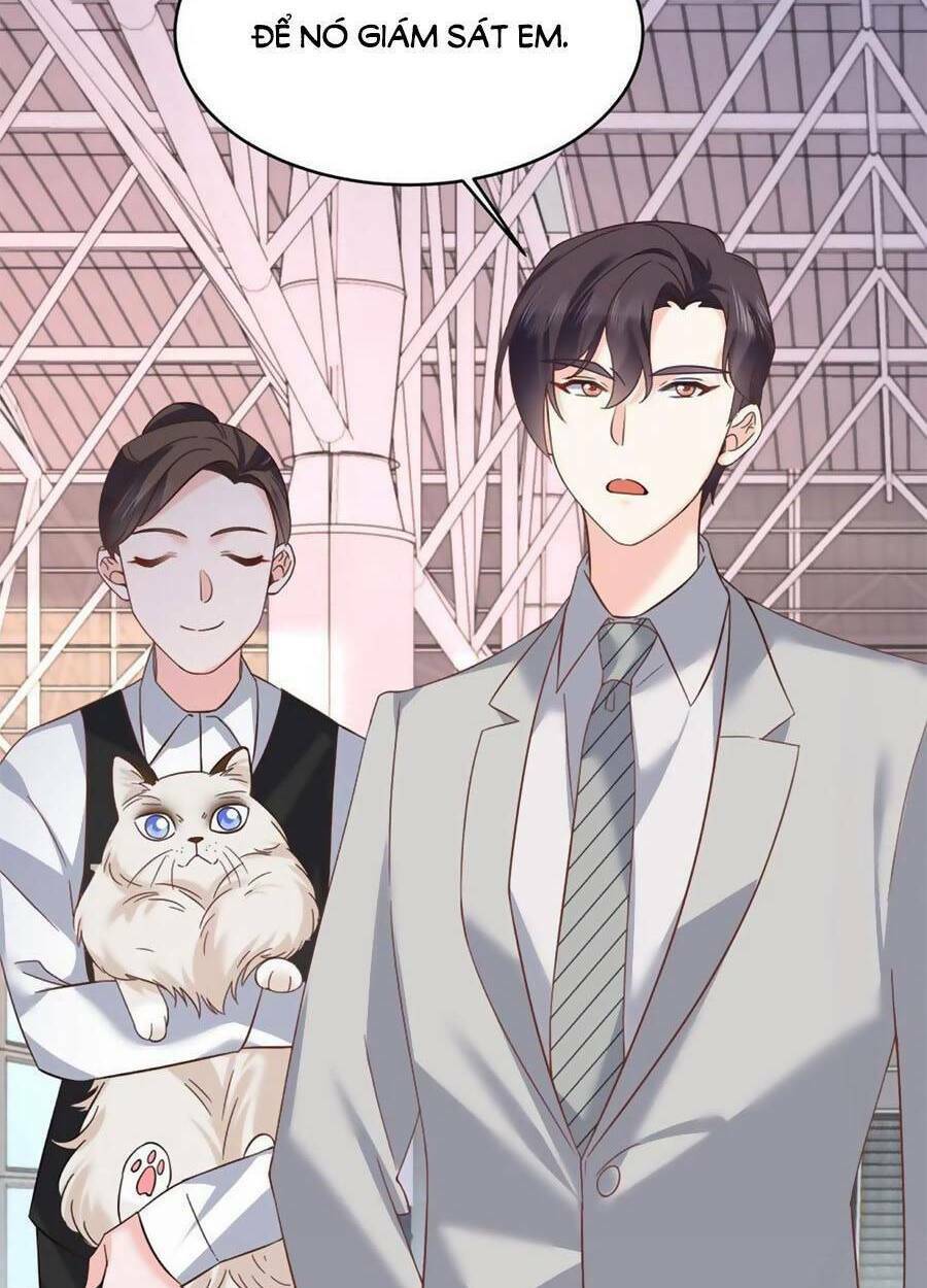 Hotboy Quốc Dân Là Nữ - Chapter 301 - Page 3