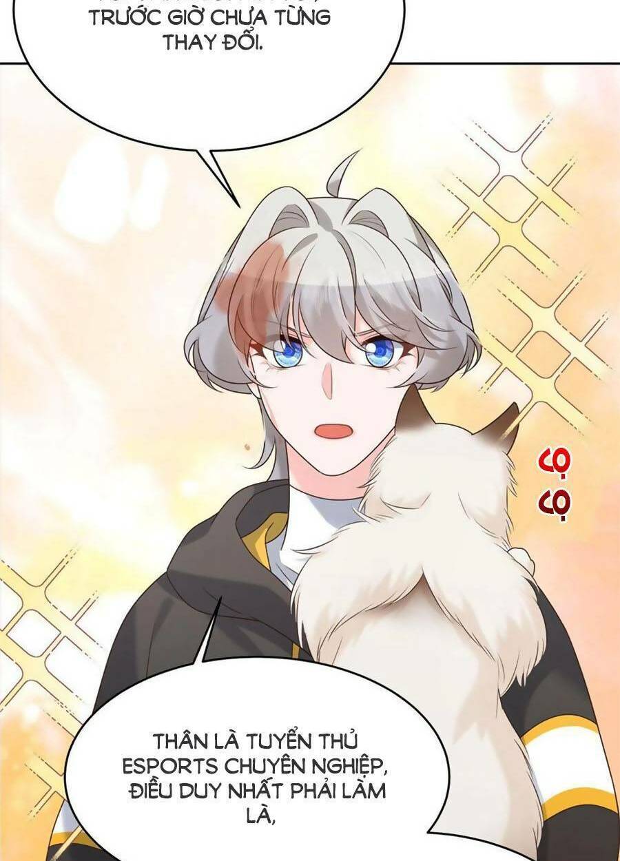 Hotboy Quốc Dân Là Nữ - Chapter 302 - Page 44