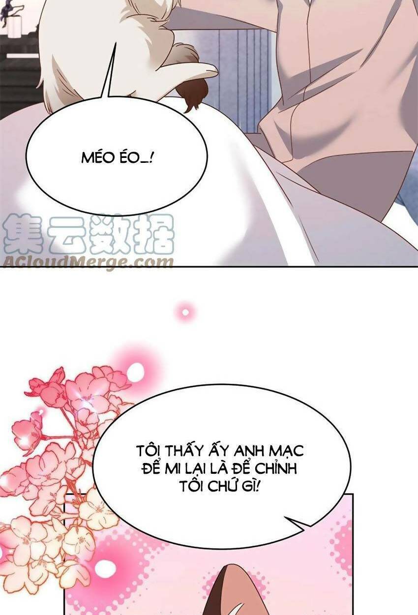 Hotboy Quốc Dân Là Nữ - Chapter 304 - Page 34