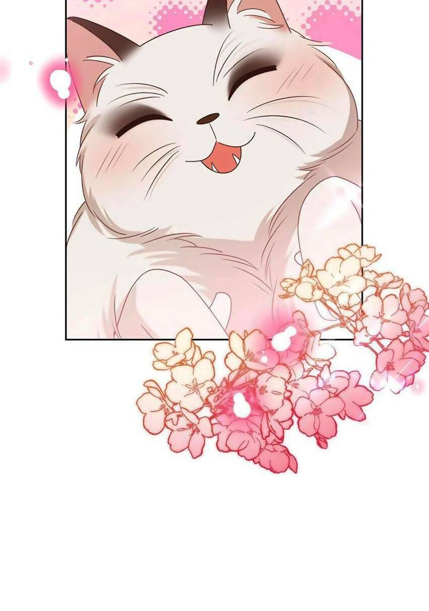 Hotboy Quốc Dân Là Nữ - Chapter 304 - Page 35