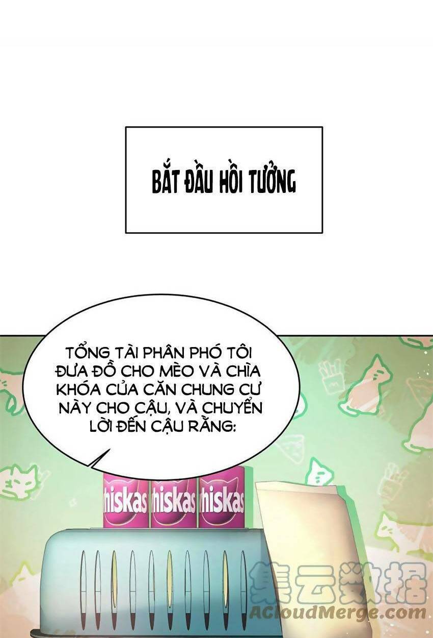Hotboy Quốc Dân Là Nữ - Chapter 304 - Page 41
