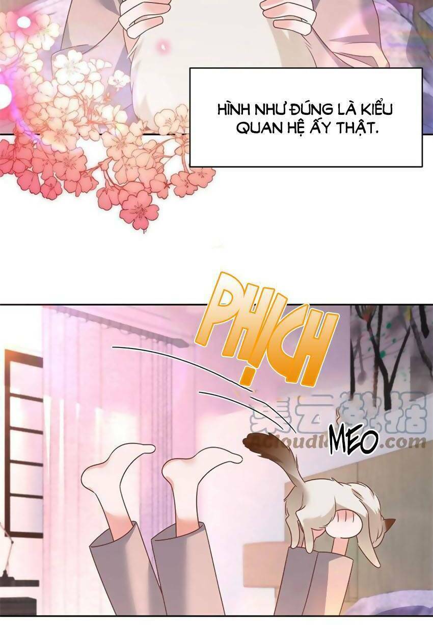 Hotboy Quốc Dân Là Nữ - Chapter 304 - Page 44