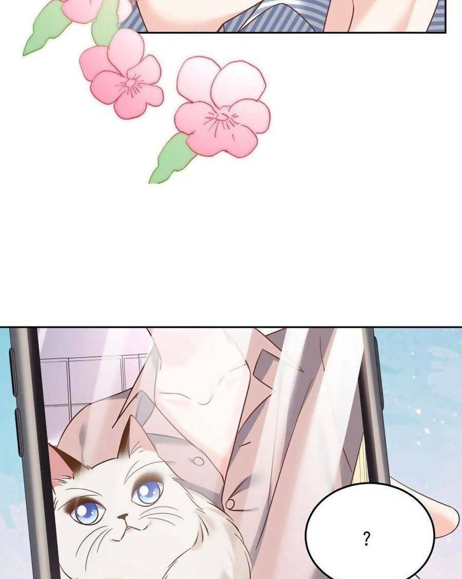 Hotboy Quốc Dân Là Nữ - Chapter 305 - Page 41