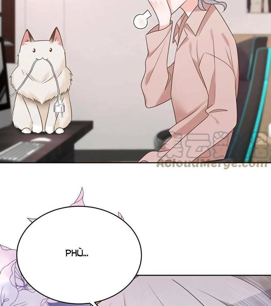 Hotboy Quốc Dân Là Nữ - Chapter 306 - Page 50