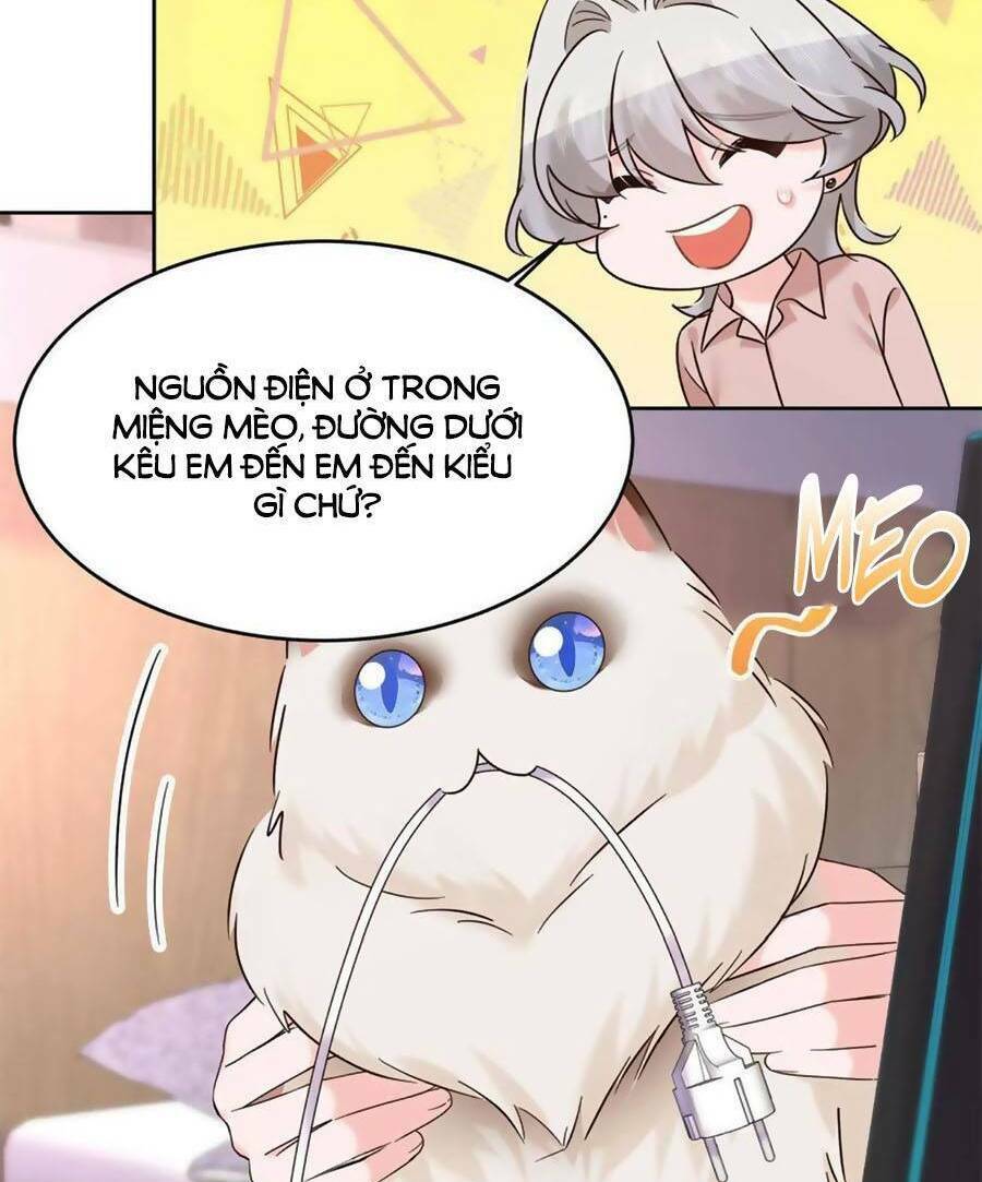 Hotboy Quốc Dân Là Nữ - Chapter 307 - Page 3