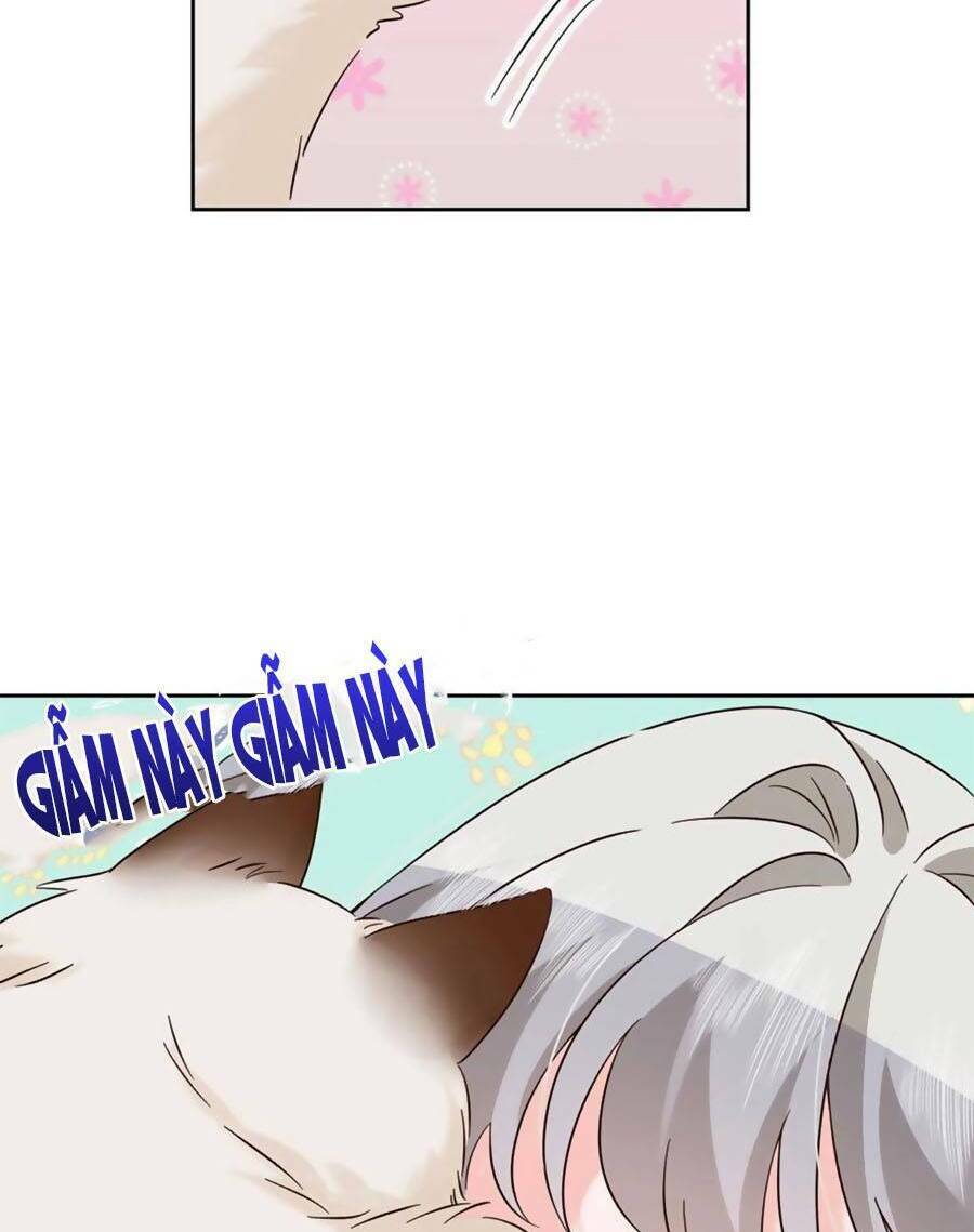 Hotboy Quốc Dân Là Nữ - Chapter 308 - Page 3