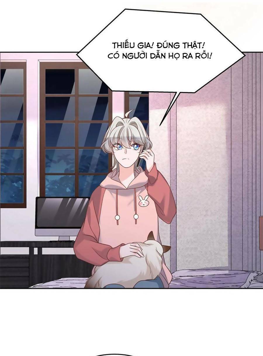 Hotboy Quốc Dân Là Nữ - Chapter 308 - Page 41