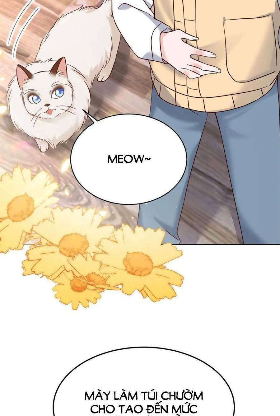 Hotboy Quốc Dân Là Nữ - Chapter 310 - Page 3