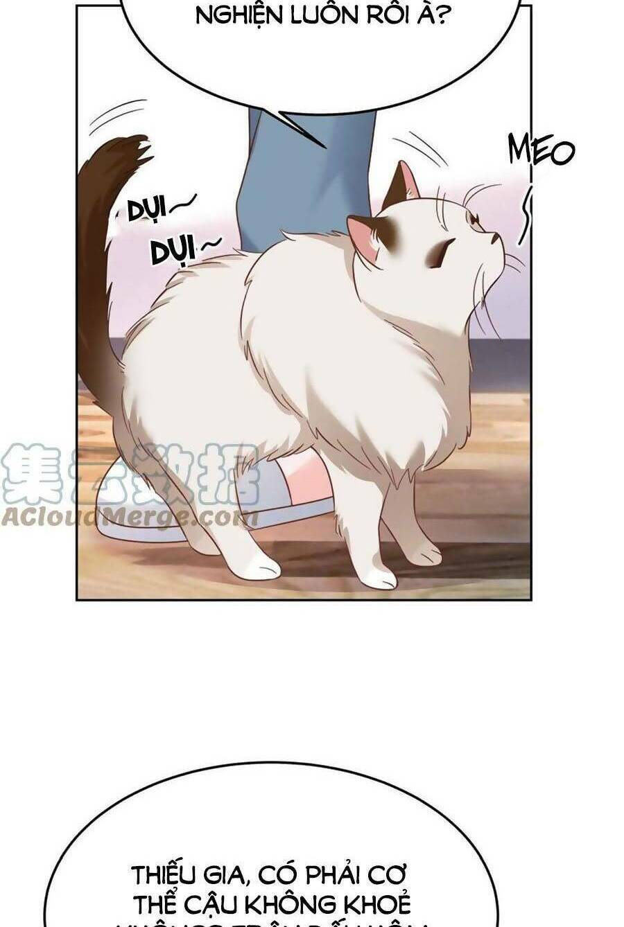 Hotboy Quốc Dân Là Nữ - Chapter 310 - Page 4