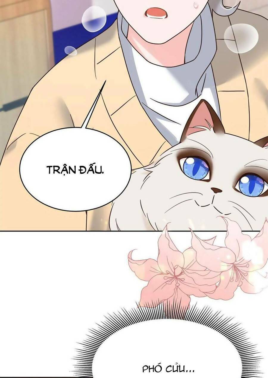 Hotboy Quốc Dân Là Nữ - Chapter 311 - Page 48