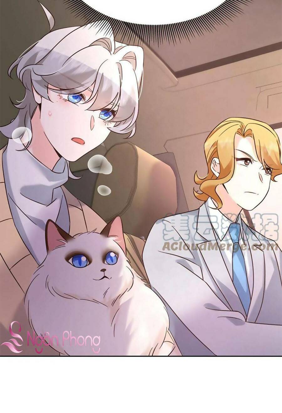 Hotboy Quốc Dân Là Nữ - Chapter 311 - Page 52