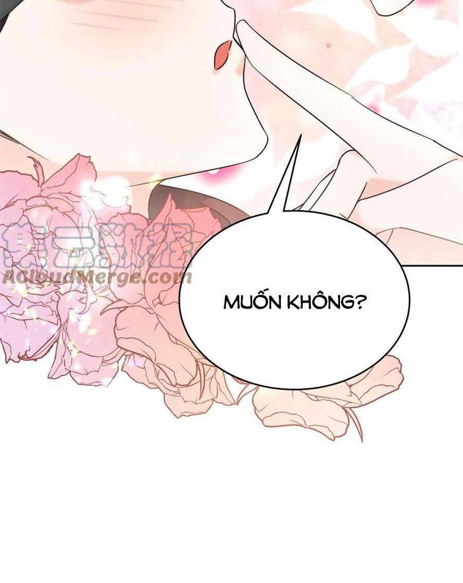 Hotboy Quốc Dân Là Nữ - Chapter 318 - Page 36