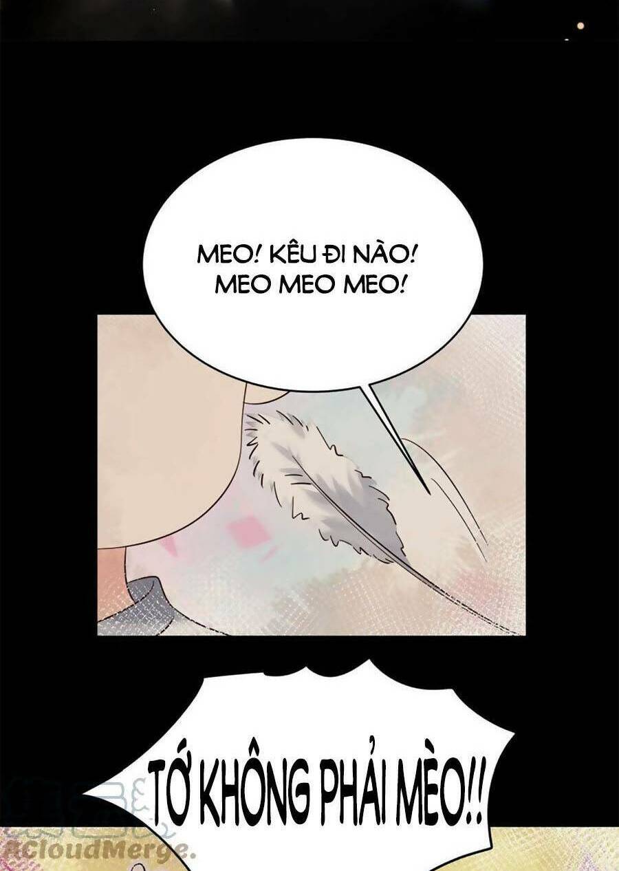 Hotboy Quốc Dân Là Nữ - Chapter 318 - Page 43