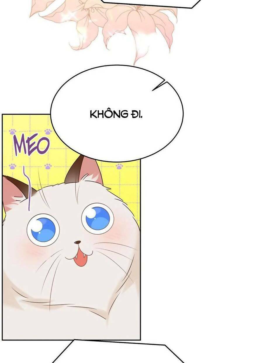 Hotboy Quốc Dân Là Nữ - Chapter 319 - Page 11