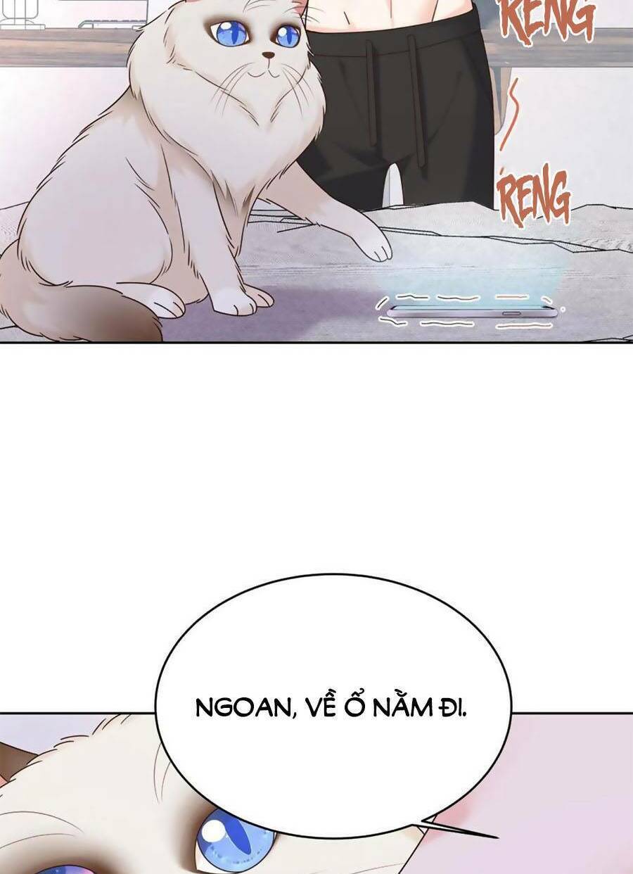 Hotboy Quốc Dân Là Nữ - Chapter 319 - Page 8