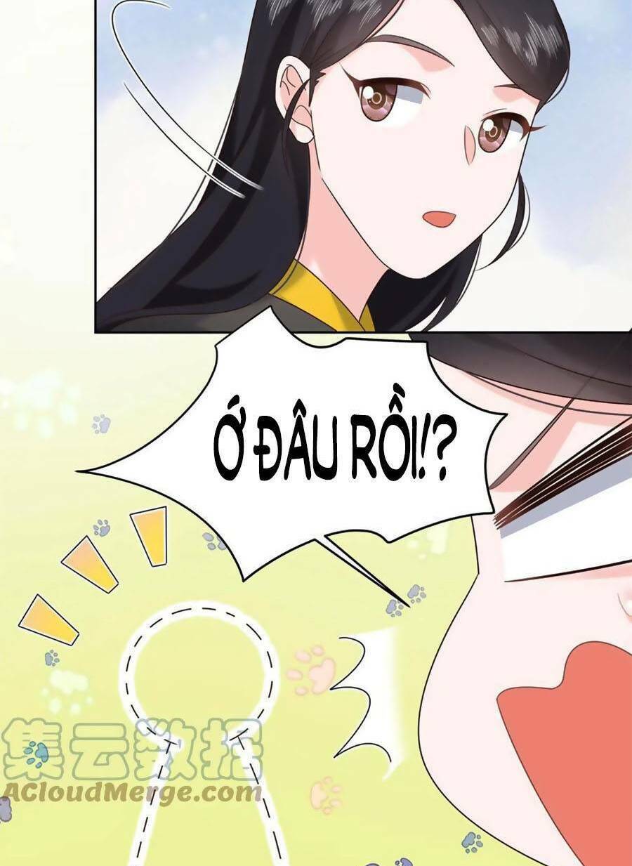 Hotboy Quốc Dân Là Nữ - Chapter 320 - Page 4