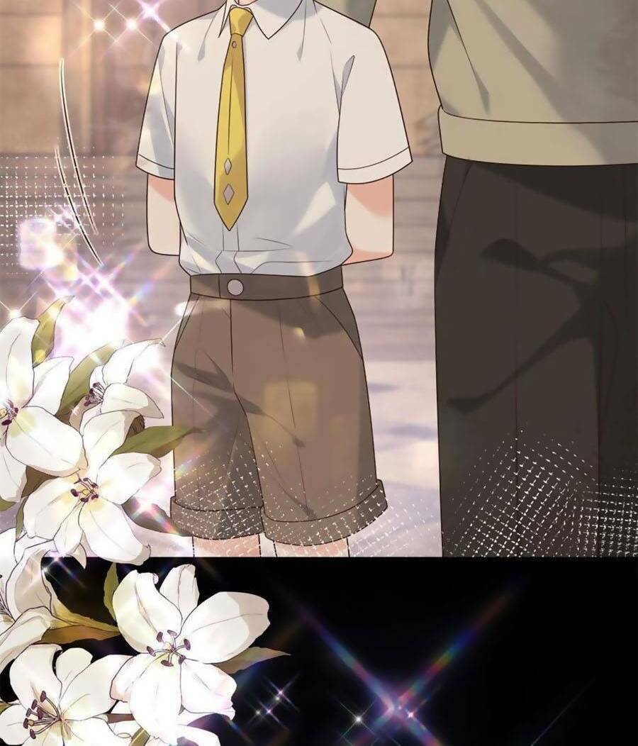 Hotboy Quốc Dân Là Nữ - Chapter 327 - Page 15